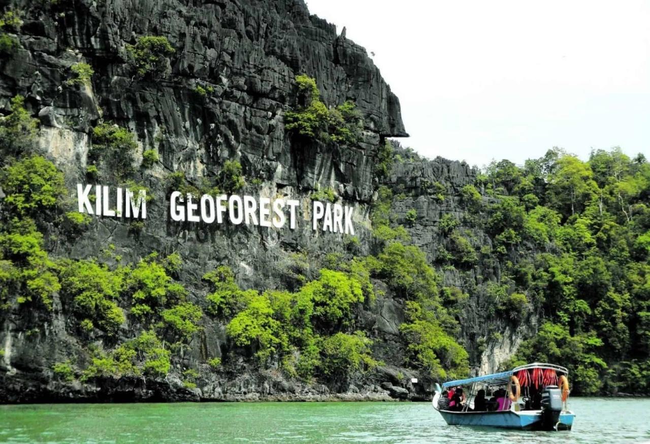 Jelajahi Keindahan Mangrove Langkawi dengan Tur Menawan