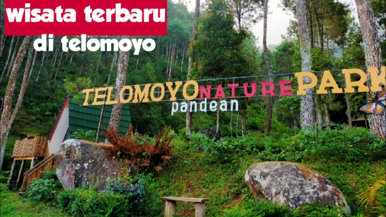 Telomoyo Nature Park: Surga Tersembunyi di Lereng Gunung Berapi